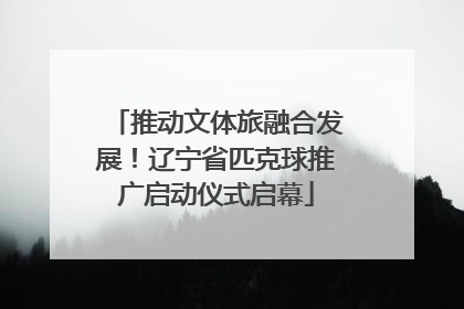推动文体旅融合发展！辽宁省匹克球推广启动仪式启幕