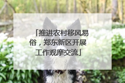 推进农村移风易俗，郑东新区开展工作观摩交流