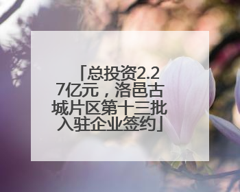 总投资2.27亿元，洛邑古城片区第十三批入驻企业签约
