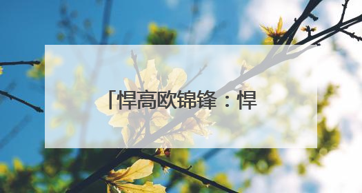 悍高欧锦锋：悍高集团IPO注册获批！家居五金资本市场再添猛将
