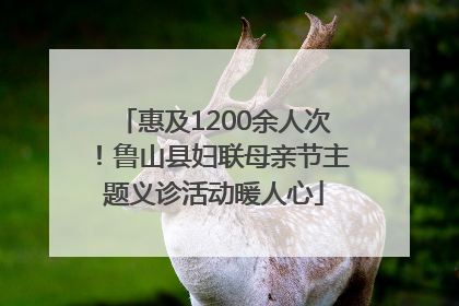 惠及1200余人次！鲁山县妇联母亲节主题义诊活动暖人心