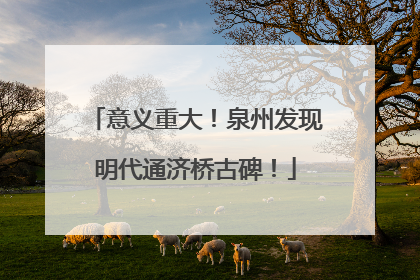 意义重大！泉州发现明代通济桥古碑！