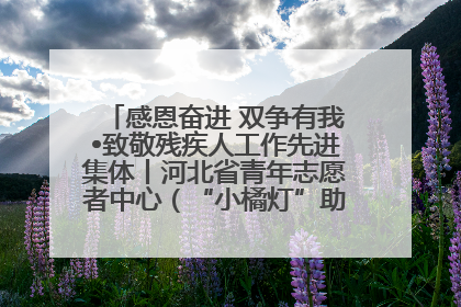 感恩奋进 双争有我•致敬残疾人工作先进集体丨河北省青年志愿者中心（“小橘灯”助残接力计划实施团队）：用温暖陪伴，守护特殊孩子成长
