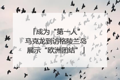 成为“第一人” 马克龙到访格陵兰岛展示“欧洲团结”