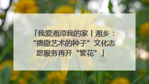 我爱湘潭我的家丨湘乡：“播撒艺术的种子”文化志愿服务再开“繁花”