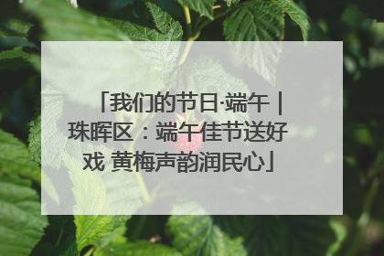 我们的节日·端午｜珠晖区：端午佳节送好戏 黄梅声韵润民心