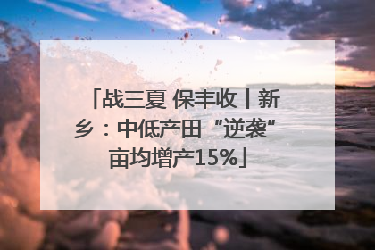 战三夏 保丰收丨新乡：中低产田“逆袭” 亩均增产15%