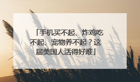 手机买不起、炸鸡吃不起、宠物养不起？这届美国人活得好难