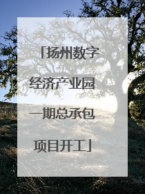 扬州数字经济产业园一期总承包项目开工