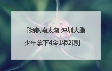 扬帆南太湖 深圳大鹏少年拿下4金1银2铜