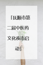 抚顺市第二届中医药文化夜市启动