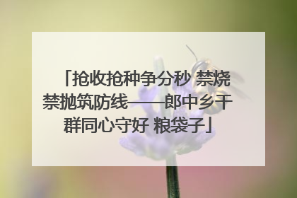 抢收抢种争分秒 禁烧禁抛筑防线——郎中乡干群同心守好 粮袋子