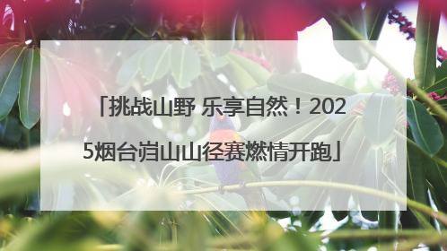 挑战山野 乐享自然！2025烟台岿山山径赛燃情开跑