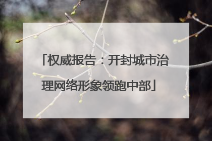 权威报告：开封城市治理网络形象领跑中部
