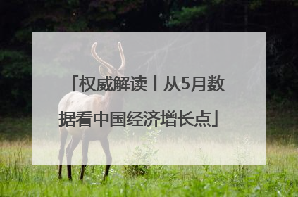 权威解读丨从5月数据看中国经济增长点