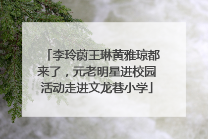 李玲蔚王琳黄雅琼都来了，元老明星进校园活动走进文龙巷小学