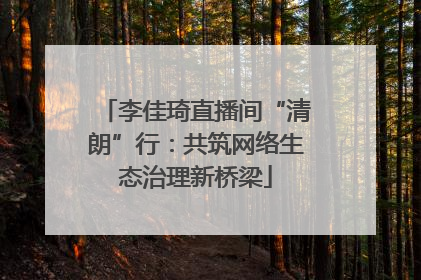 李佳琦直播间“清朗”行：共筑网络生态治理新桥梁