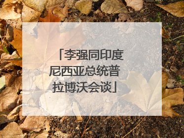 李强同印度尼西亚总统普拉博沃会谈