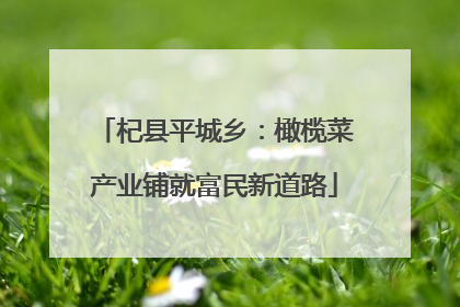 杞县平城乡：橄榄菜产业铺就富民新道路
