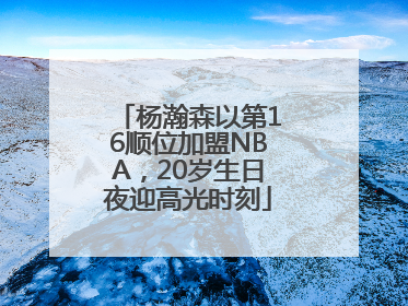 杨瀚森以第16顺位加盟NBA，20岁生日夜迎高光时刻