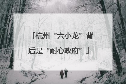 杭州“六小龙”背后是“耐心政府”