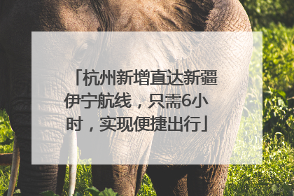 杭州新增直达新疆伊宁航线，只需6小时，实现便捷出行