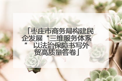 枣庄市商务局构建民企发展“三维服务体系” 以法治保障书写外贸高质量答卷