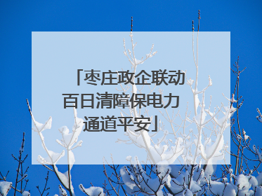 枣庄政企联动百日清障保电力通道平安