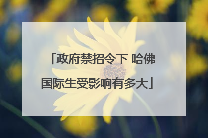 政府禁招令下 哈佛国际生受影响有多大