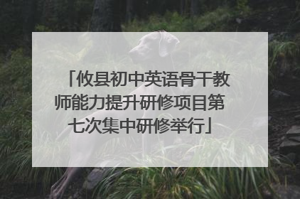 攸县初中英语骨干教师能力提升研修项目第七次集中研修举行