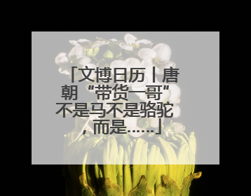 文博日历丨唐朝“带货一哥”不是马不是骆驼，而是……