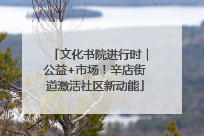 文化书院进行时｜公益+市场！辛店街道激活社区新动能