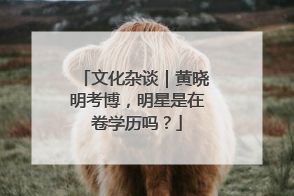 文化杂谈｜黄晓明考博，明星是在卷学历吗？