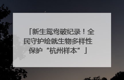 新生鸳鸯破纪录！全民守护绘就生物多样性保护“杭州样本”