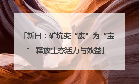 新田：矿坑变“废”为“宝” 释放生态活力与效益