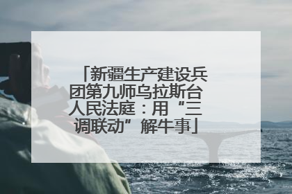 新疆生产建设兵团第九师乌拉斯台人民法庭：用“三调联动”解牛事