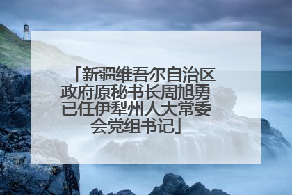 新疆维吾尔自治区政府原秘书长周旭勇已任伊犁州人大常委会党组书记