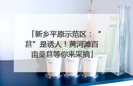 新乡平原示范区：“葚”是诱人！黄河滩百亩桑葚等你来采摘