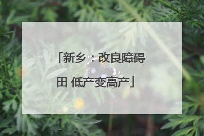 新乡：改良障碍田 低产变高产