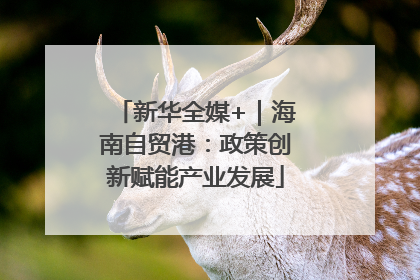 新华全媒+｜海南自贸港：政策创新赋能产业发展