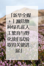 新华全媒+丨濒危物种绿孔雀人工繁育与野化放归试验取得关键进展