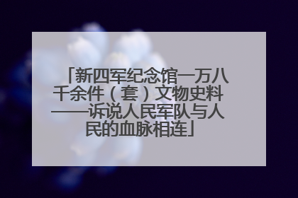 新四军纪念馆一万八千余件（套）文物史料——诉说人民军队与人民的血脉相连