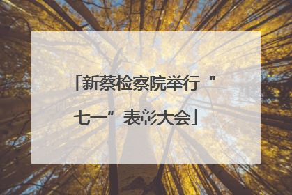 新蔡检察院举行“七一”表彰大会