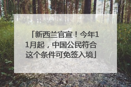新西兰官宣！今年11月起，中国公民符合这个条件可免签入境