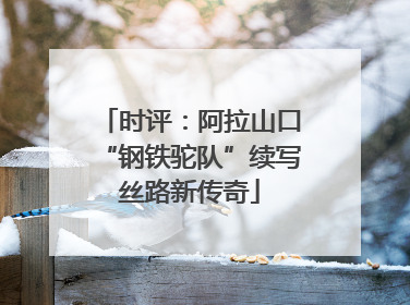 时评：阿拉山口“钢铁驼队”续写丝路新传奇