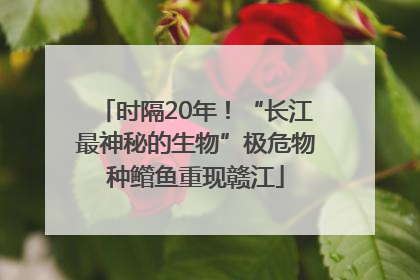 时隔20年！“长江最神秘的生物”极危物种鳤鱼重现赣江
