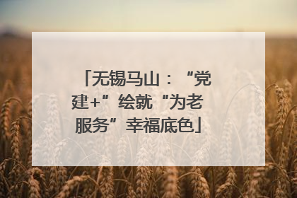 无锡马山：“党建+”绘就“为老服务”幸福底色