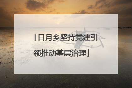 日月乡坚持党建引领推动基层治理