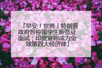 早安！世界丨特朗普政府暂停留学生新签证面试；印度宣称成为全球第四大经济体