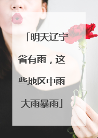 明天辽宁省有雨，这些地区中雨大雨暴雨